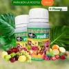 Phân Bón Lá Root 2, Kích Ra Rễ Roots 2 - Ra Rễ Cực Mạnh Roots 2