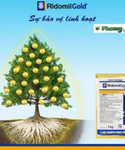 Ridomil Gold Tưới Gốc, Thuốc Trừ Bệnh Cây Trồng Ridomil Gold