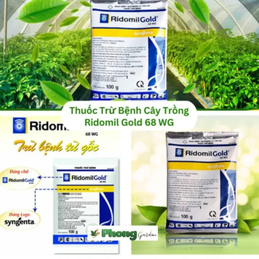 Ridomil Gold Tưới Gốc, Thuốc Trừ Bệnh Cây Trồng Ridomil Gold